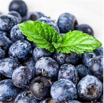 新鲜蓝莓大果生鲜水果时令水果当季蓝莓宝宝孕妇水果 18mm提高免疫护眼