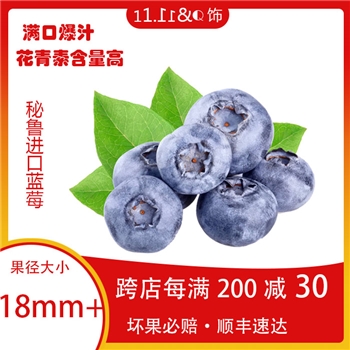 秘鲁新鲜水果当季蓝莓18mm过节好礼包顺丰包邮安全到家