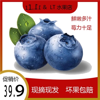 秘鲁进口蓝莓新鲜水果坏果包赔现摘现发增强免疫力