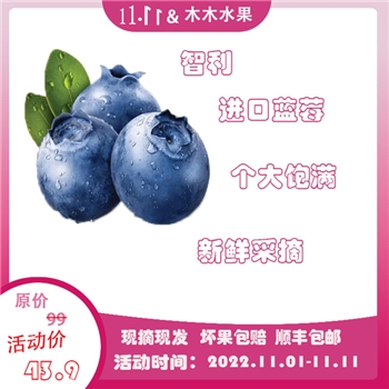 智利进口现摘新鲜蓝莓新鲜水果  moon牌 富有丰富营养与叶黄素