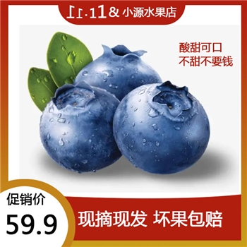 秘鲁蓝莓顺丰直达秘鲁进口蓝莓新鲜水果蓝莓鲜果超大果露天孕