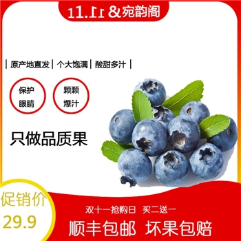 新鲜蓝莓优选天然大果时令水果蓝莓应季大果礼盒蓝莓6盒大果装（恒温抗压箱）
