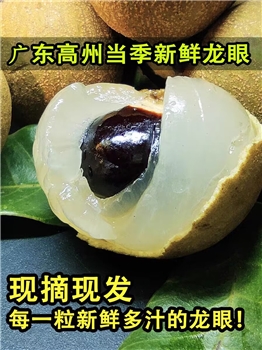 广东高州龙眼新鲜桂圆石硖储良水果当季现摘发货5斤包邮本地特产
