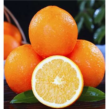 江西赣南橙子10斤新鲜脐橙当季水果冰糖甜橙大果赣州正宗果冻橙
