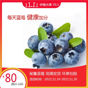 秘鲁蓝莓18mm生鲜水果坏果包赔当季鲜产
